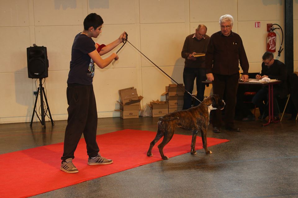Jérico, baby show janvier 2015