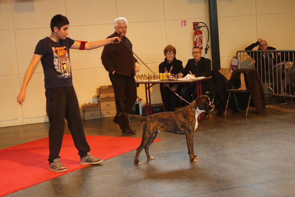 Jérico, baby show janvier 2015
