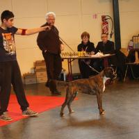 Jérico, baby show janvier 2015