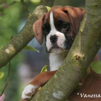 Photo de V. Grossemy