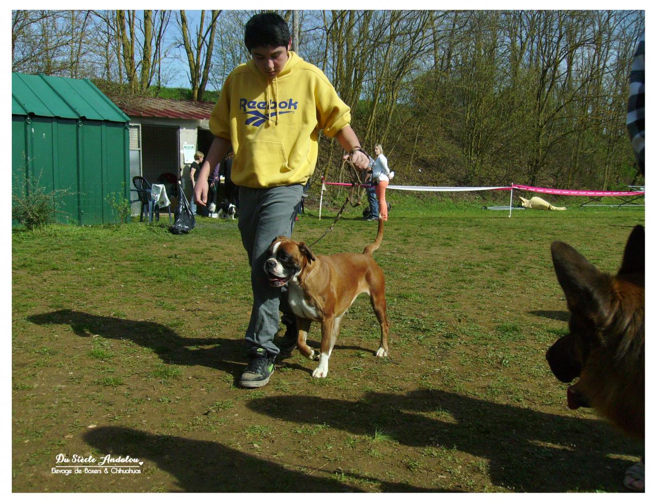 Alicia confirmation LOF 14 Avril 2013