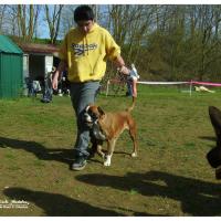 Alicia confirmation LOF 14 Avril 2013