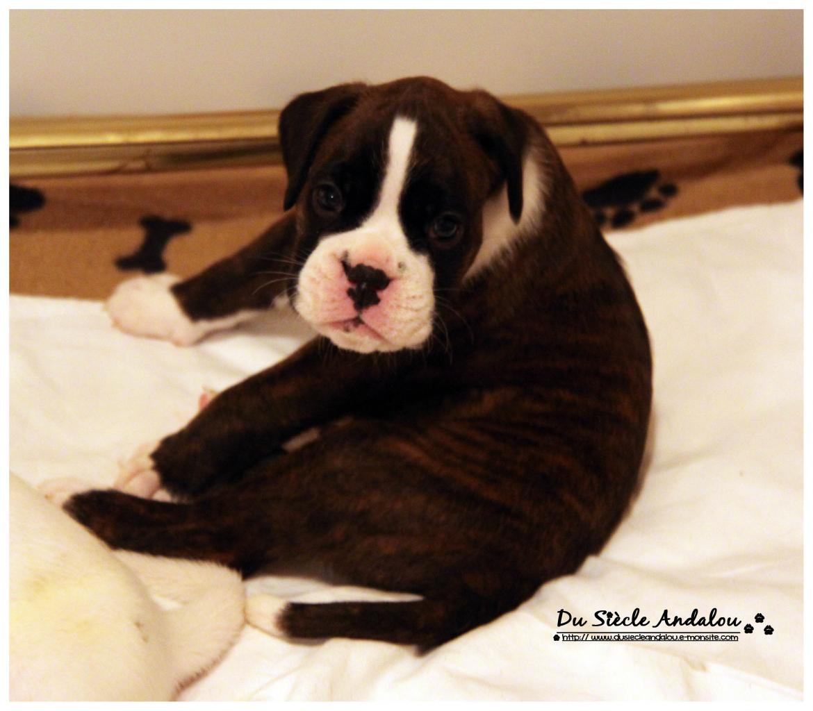 Nos bébés, Un Mois