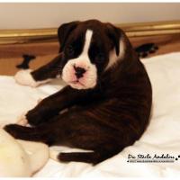 Nos bébés, Un Mois