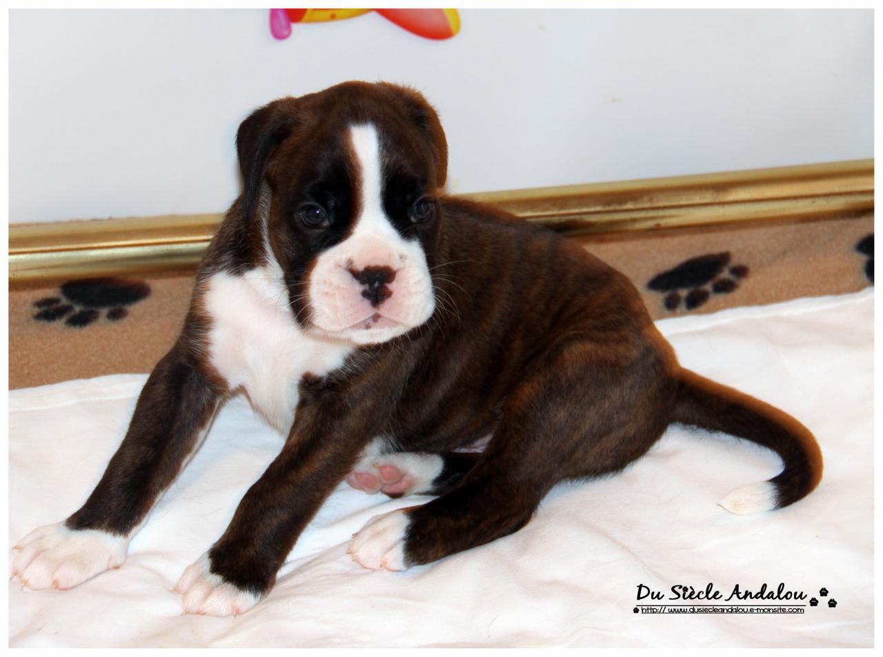 Nos bébés, Un Mois