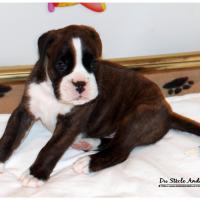 Nos bébés, Un Mois