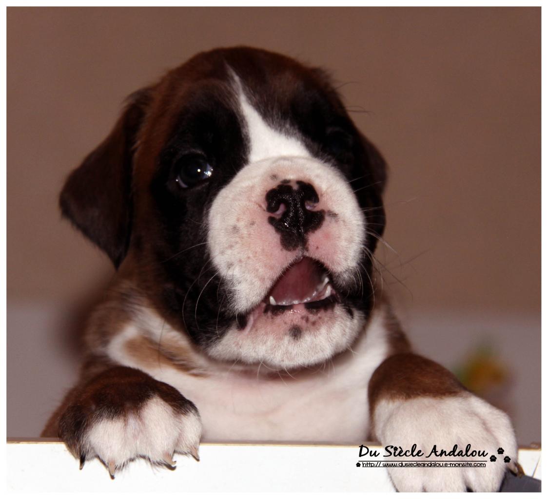 Nos bébés, Un Mois