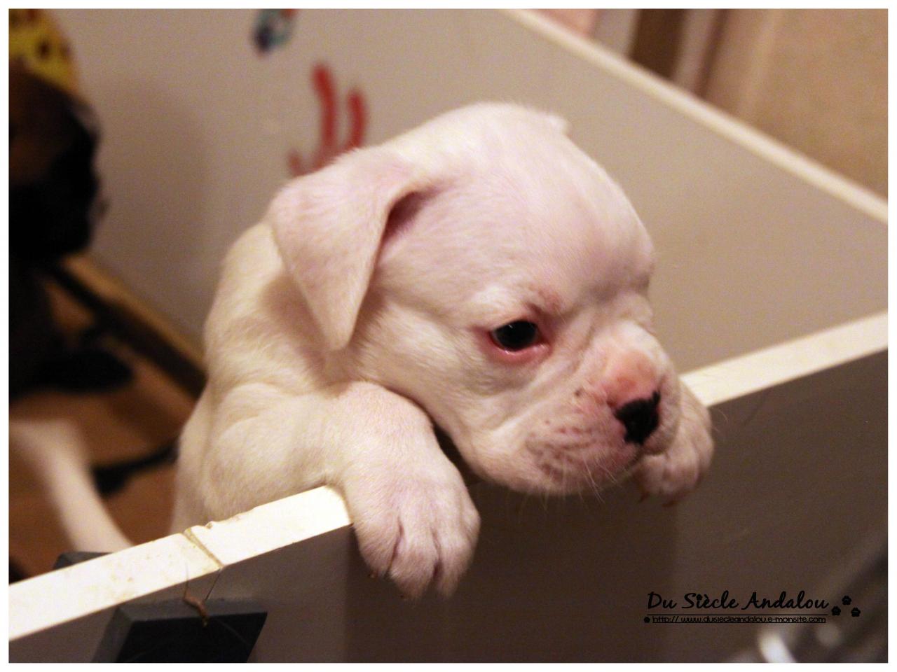 Nos bébés, Un Mois