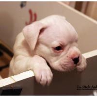 Nos bébés, Un Mois