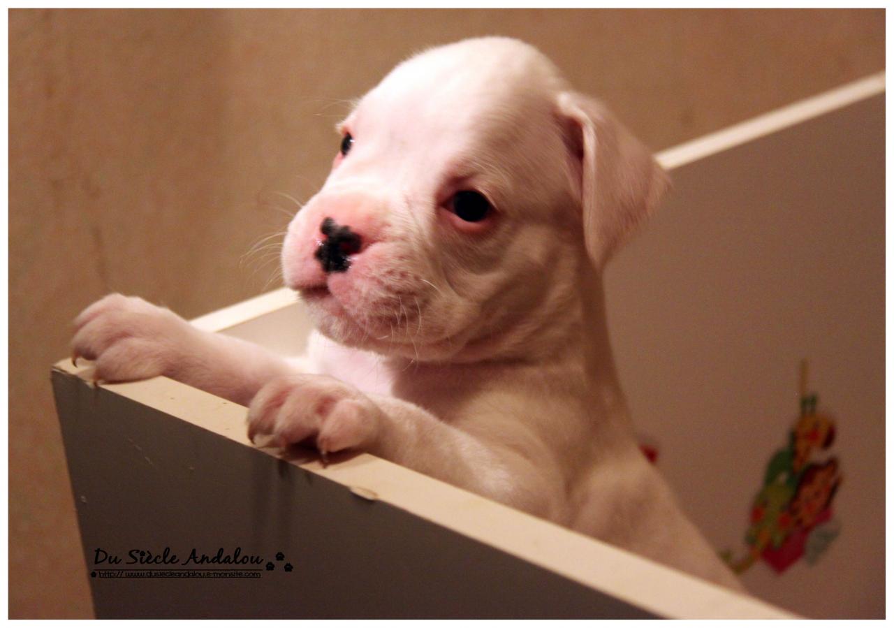 Nos bébés, Un Mois