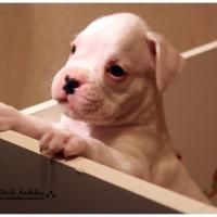 Nos bébés, Un Mois