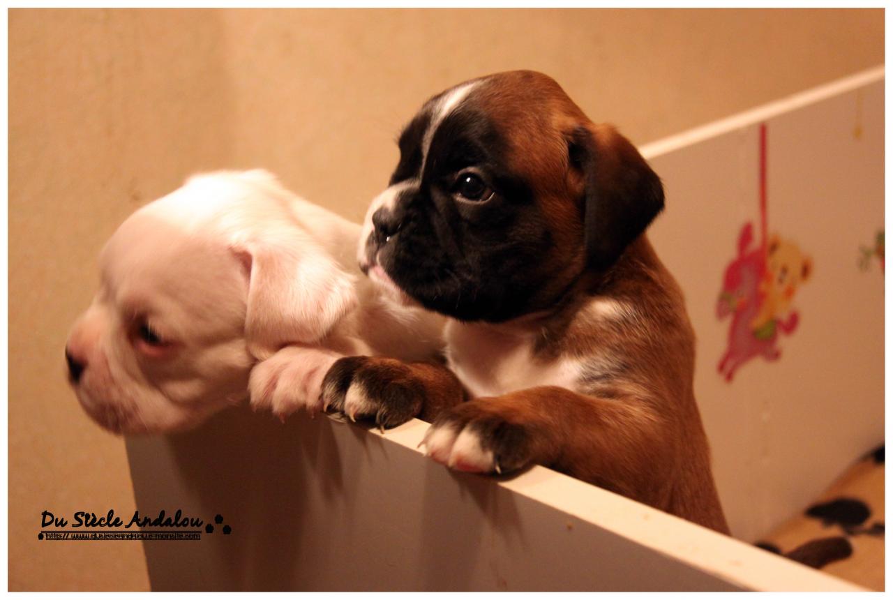 Nos bébés, Un Mois