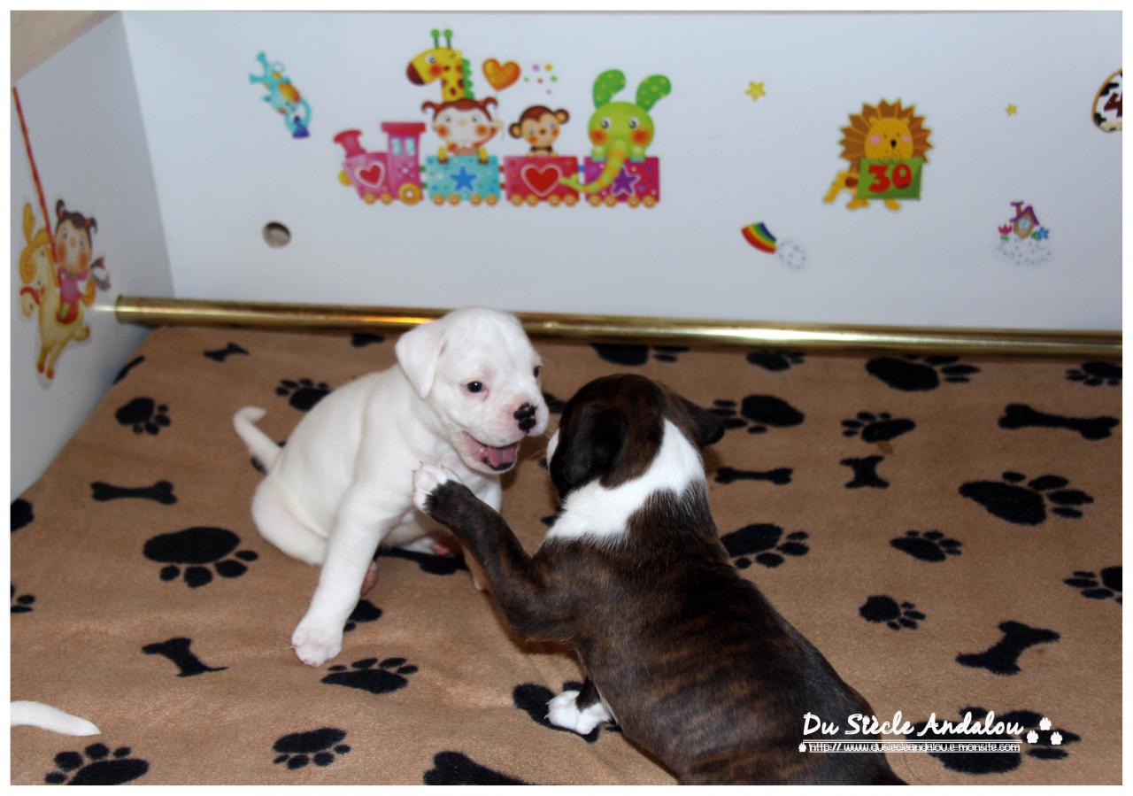 Nos bébés, Un Mois