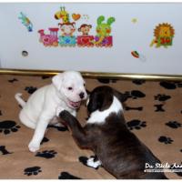 Nos bébés, Un Mois