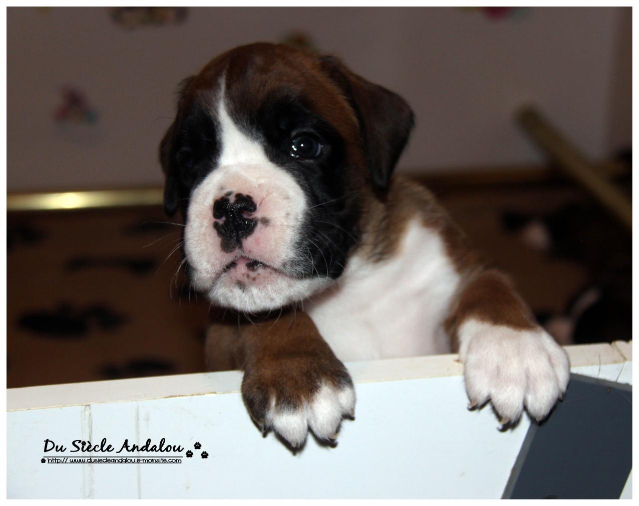 Nos bébés, Un Mois