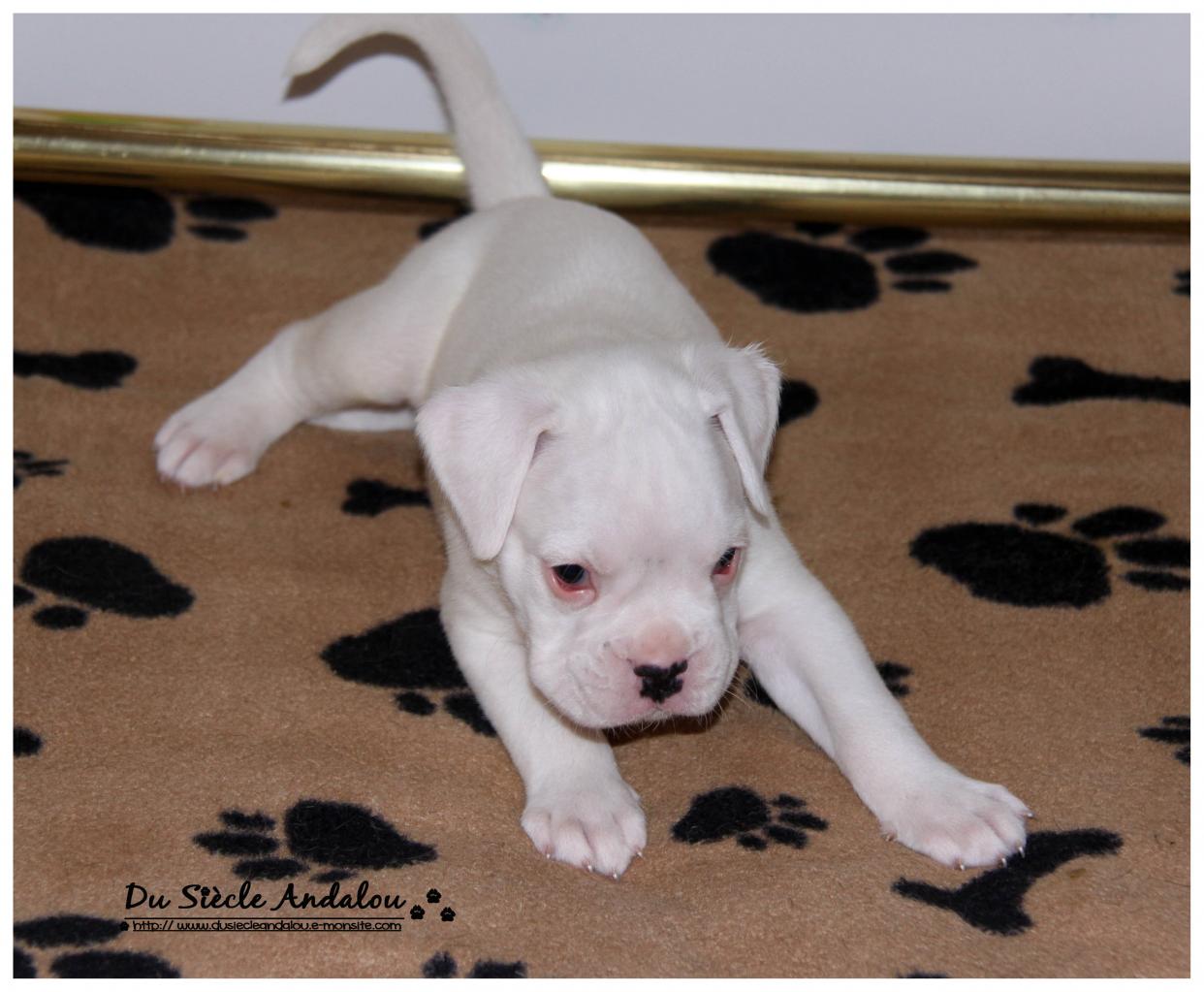 Nos bébés, Un Mois