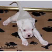 Nos bébés, Un Mois