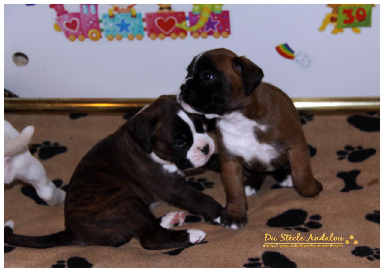 Nos bébés, Un Mois