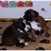 Nos bébés, Un Mois