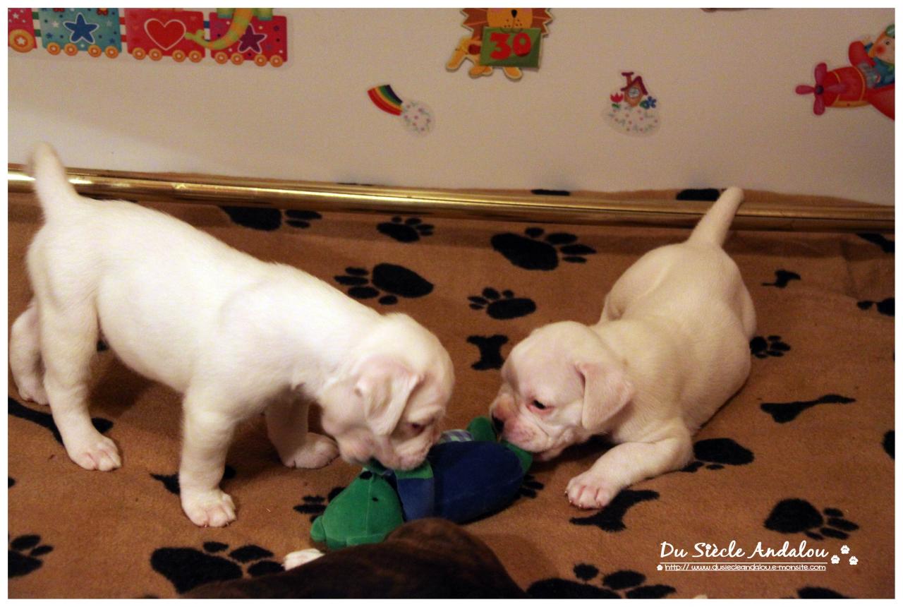 Nos bébés, Un Mois