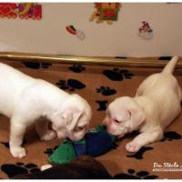 Nos bébés, Un Mois