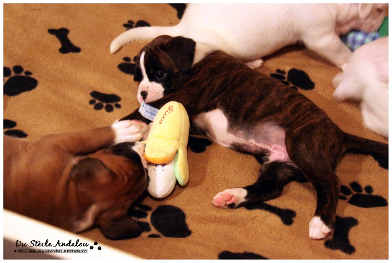 Nos bébés, Un Mois