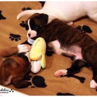 Nos bébés, Un Mois