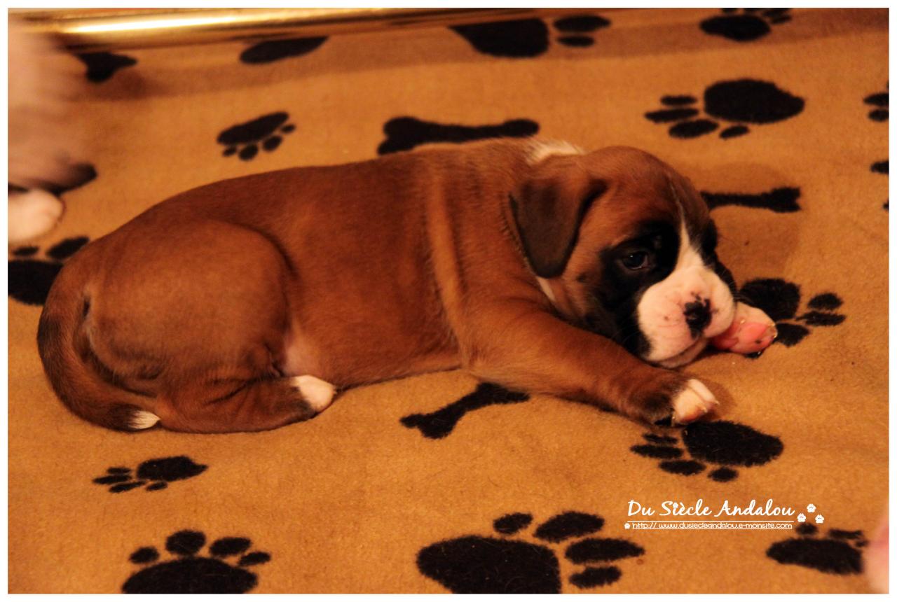 Nos bébés, Un Mois