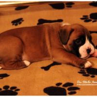 Nos bébés, Un Mois