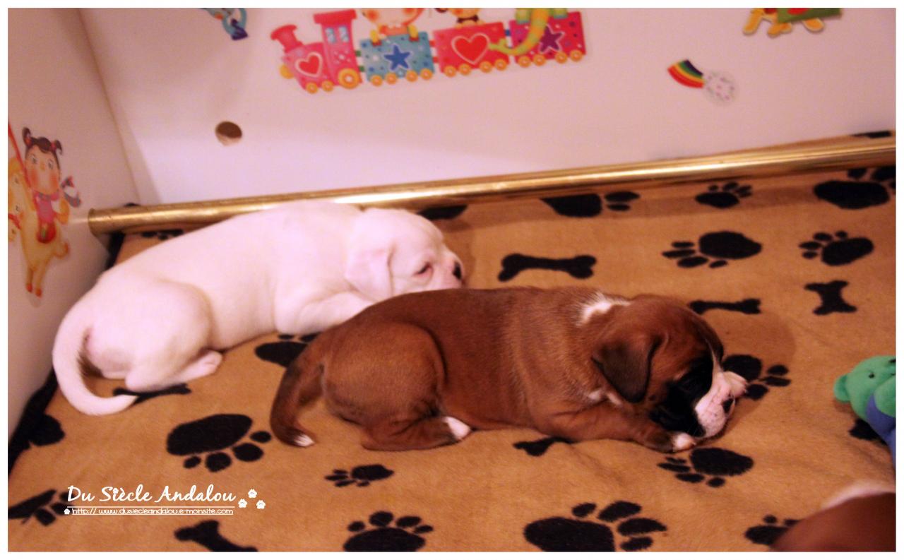 Nos bébés, Un Mois