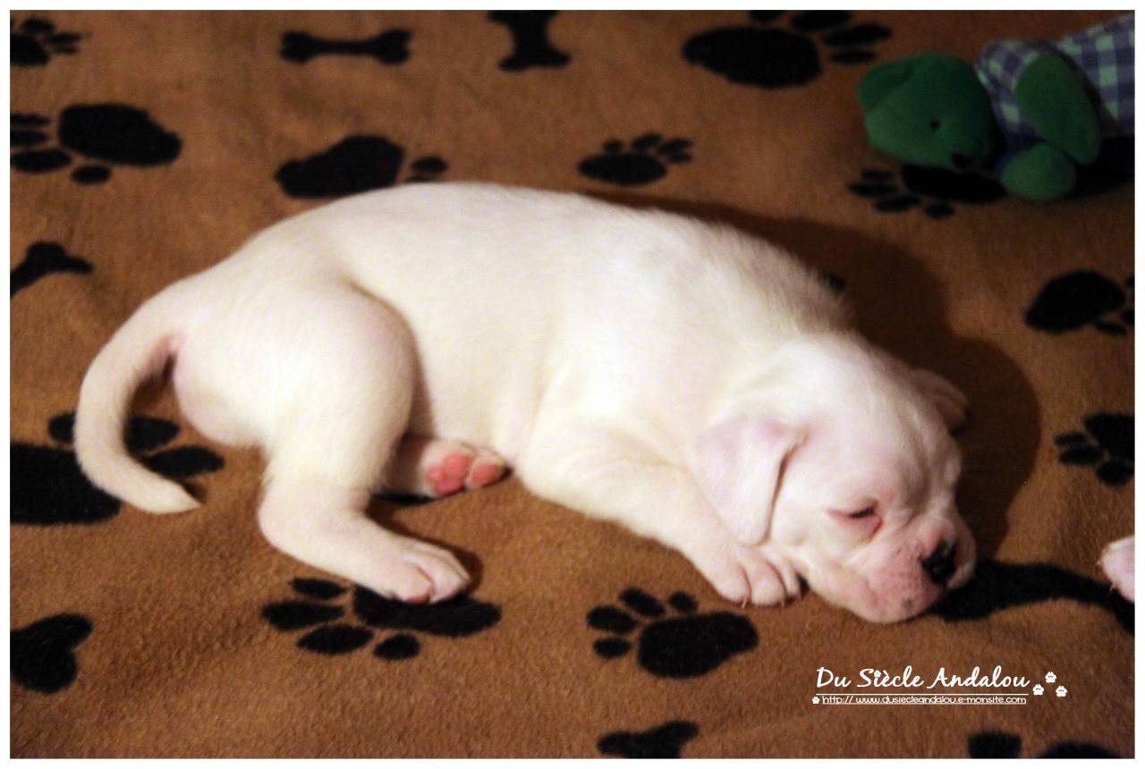 Nos bébés, Un Mois