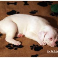 Nos bébés, Un Mois