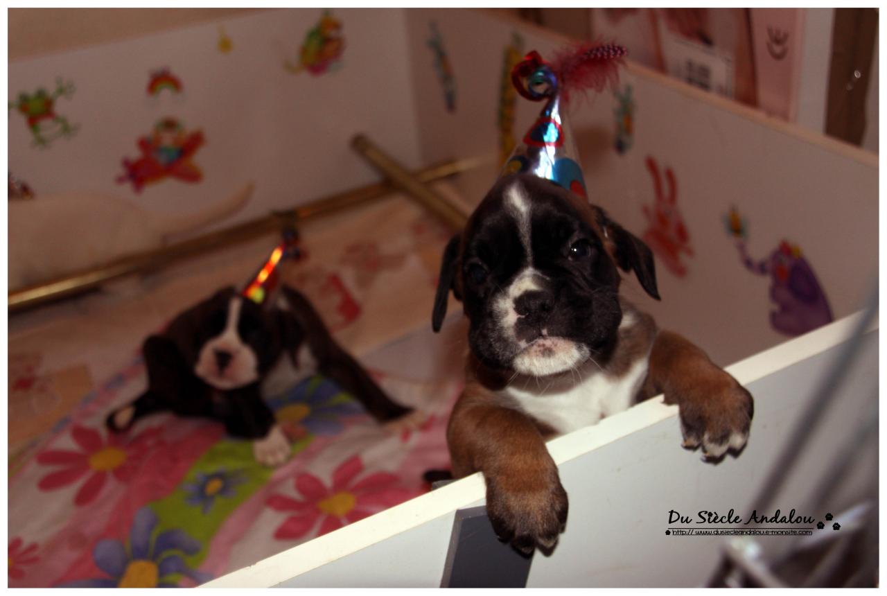 Nos bébés, Un Mois