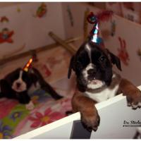 Nos bébés, Un Mois