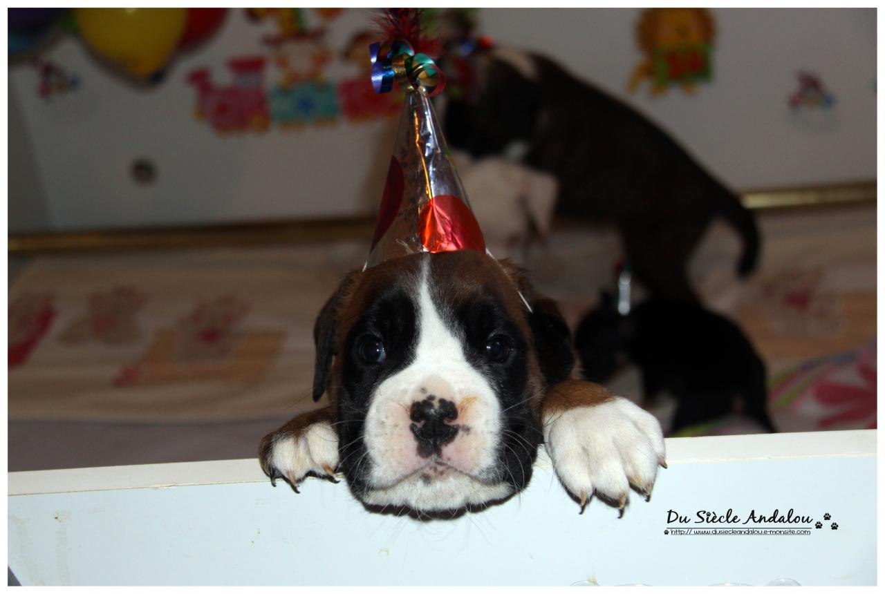 Nos bébés, Un Mois