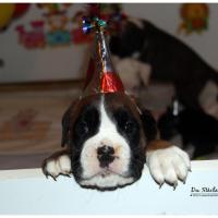 Nos bébés, Un Mois