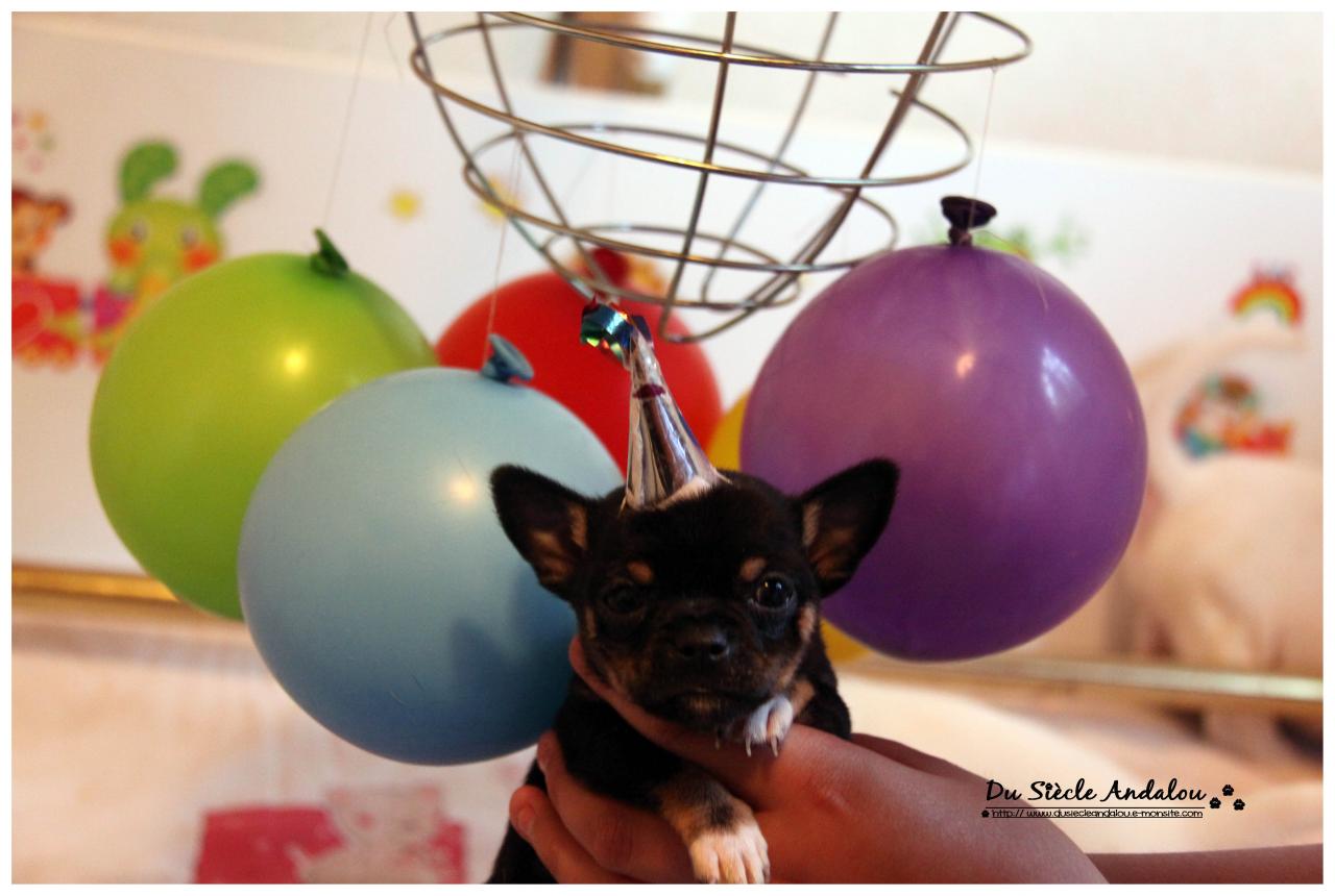 Nos bébés, Un Mois