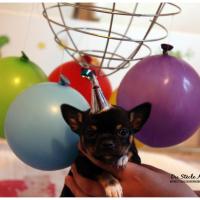 Nos bébés, Un Mois