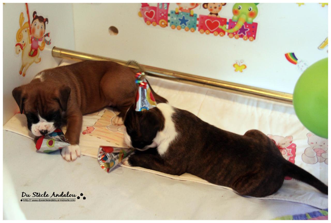 Nos bébés, Un Mois