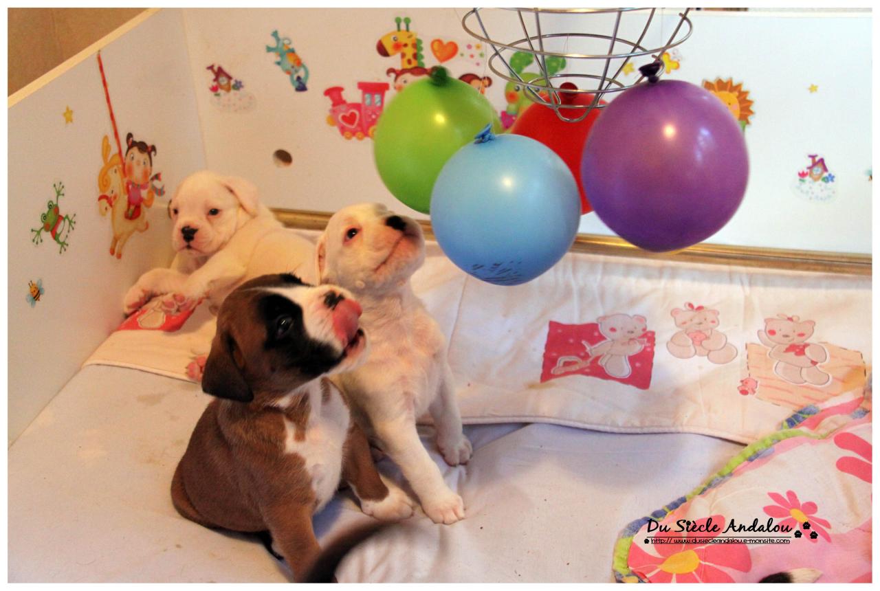 Nos bébés, Un Mois