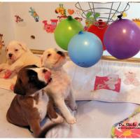 Nos bébés, Un Mois