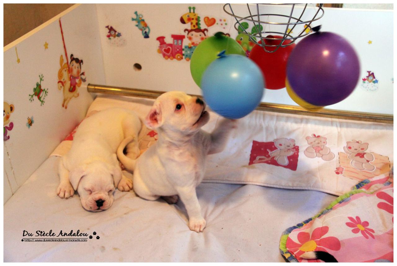 Nos bébés, Un Mois