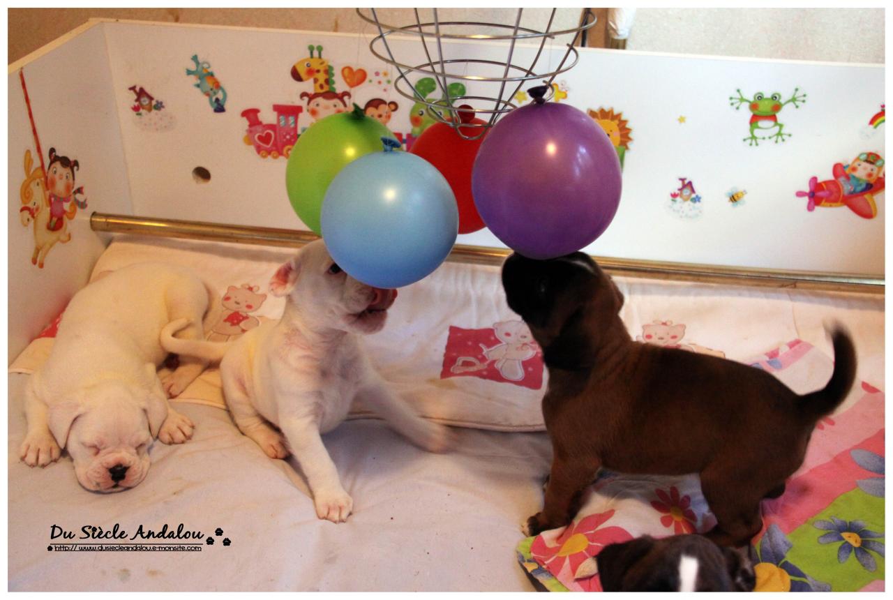 Nos bébés, Un Mois