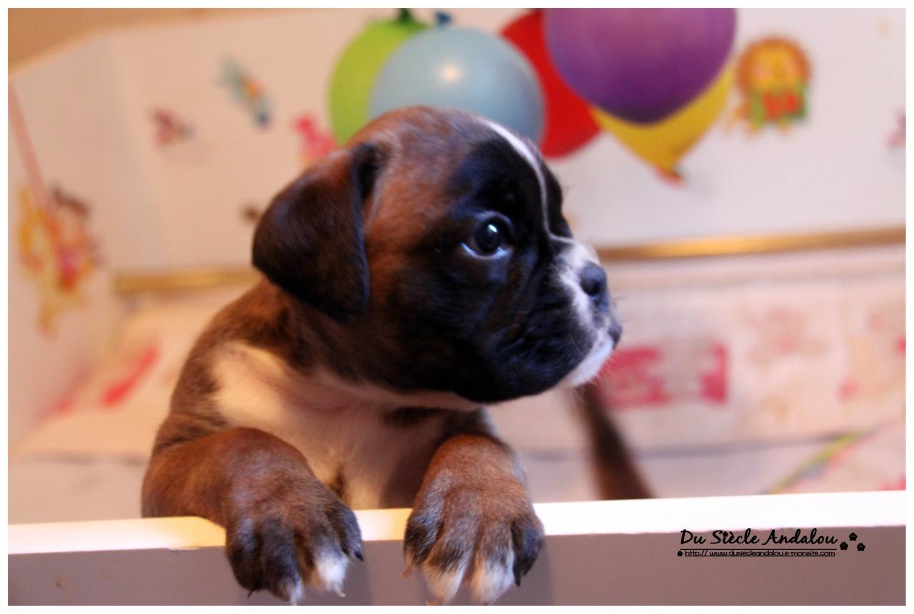 Nos bébés, Un Mois