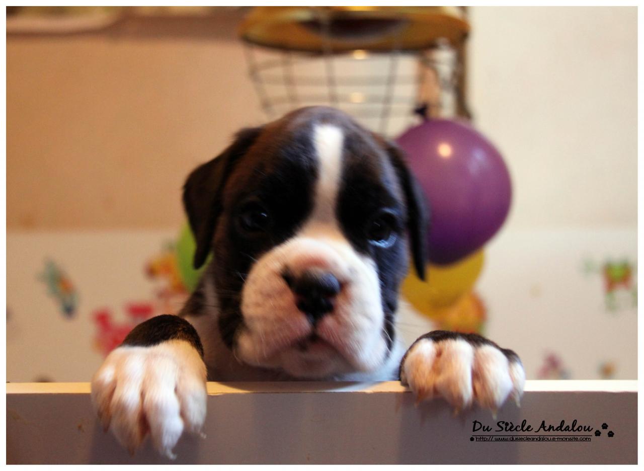 Nos bébés, Un Mois