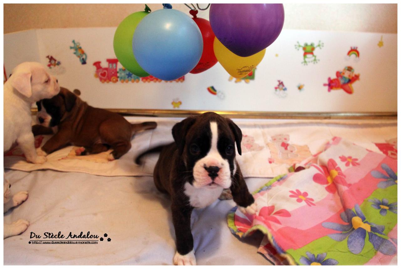 Nos bébés, Un Mois