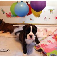 Nos bébés, Un Mois