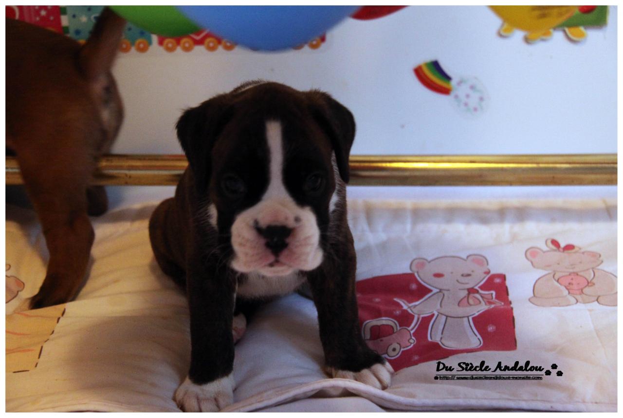 Nos bébés, Un Mois