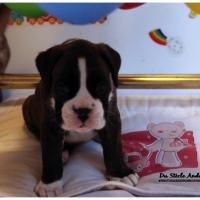 Nos bébés, Un Mois