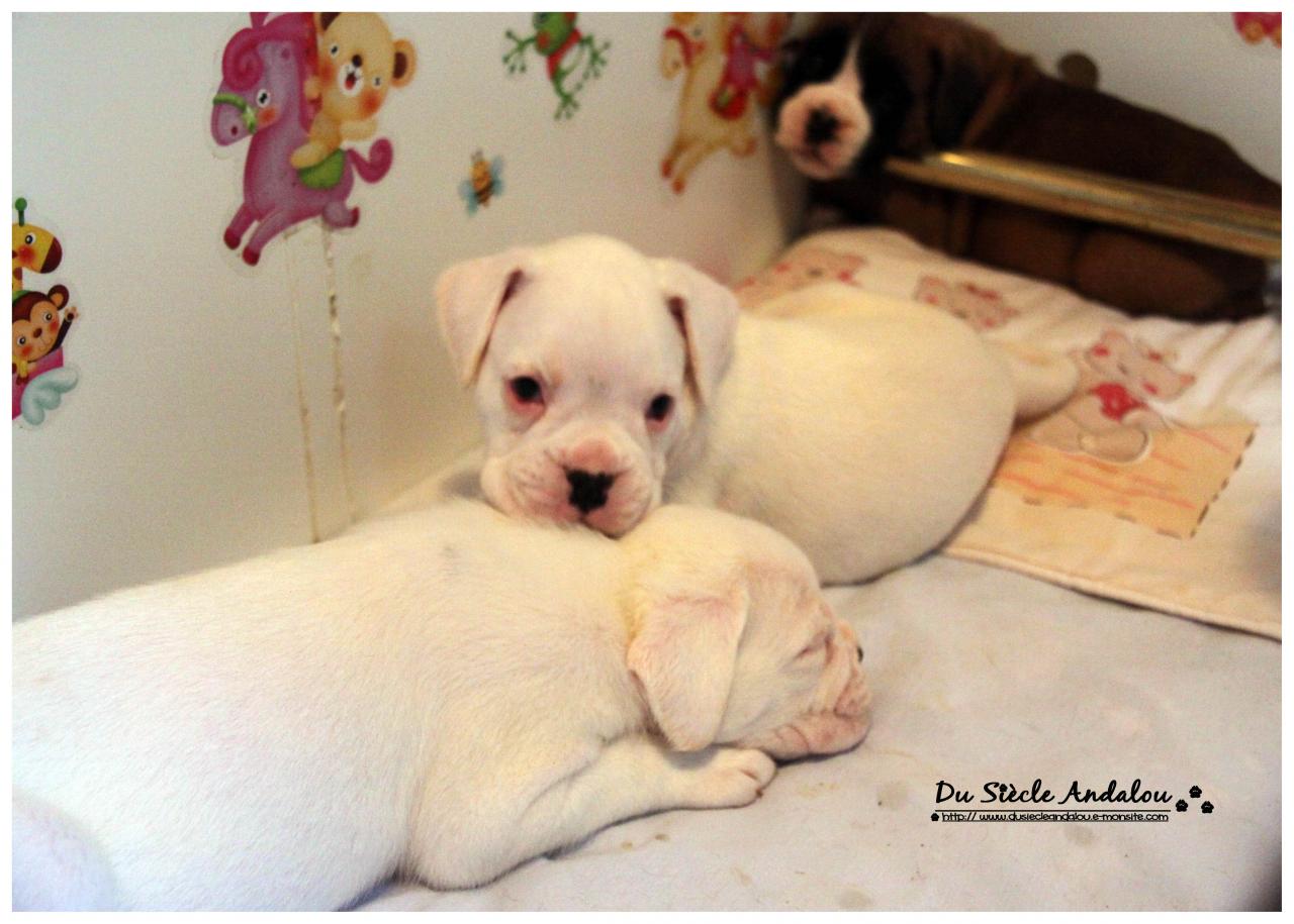 Nos bébés, Un Mois